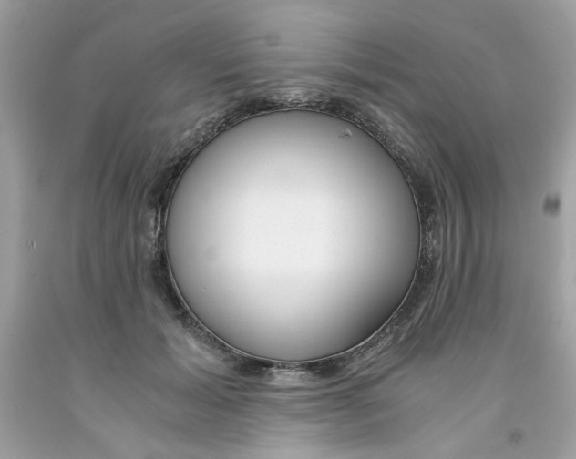 X0000091060605200709041200