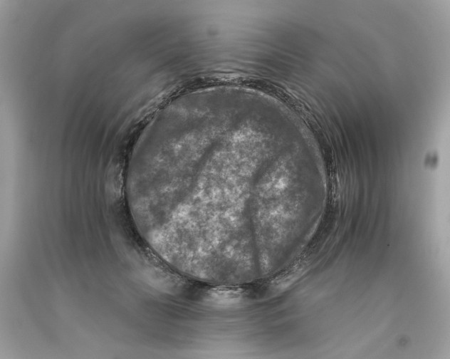 X0000091060606200709041200