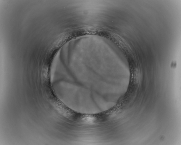 X0000091060610200709041200