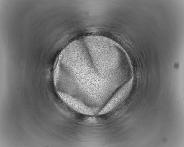 X0000091060611200709041200