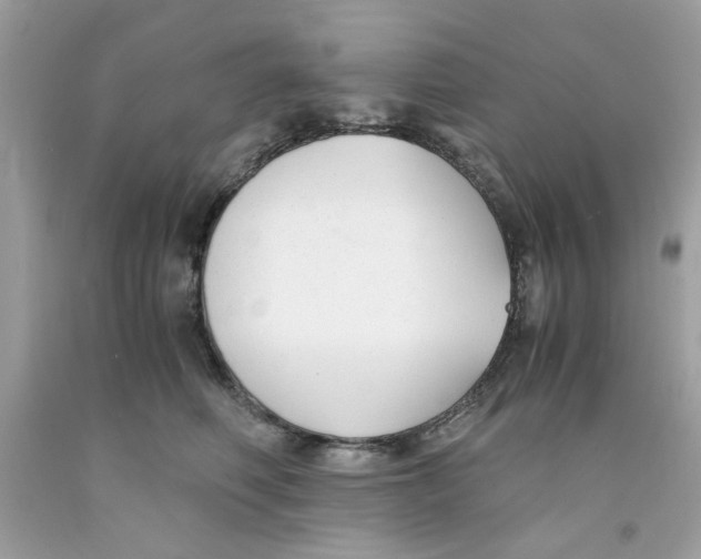 X0000091060614200709041200