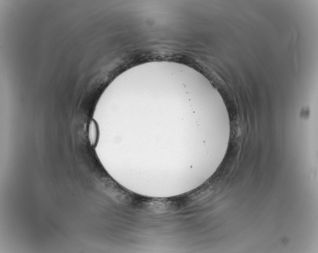 X0000091060615200709041200