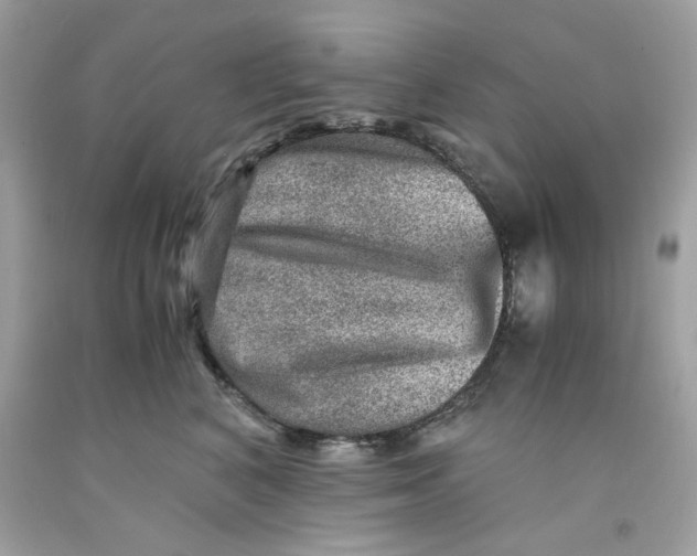 X0000091060616200709041200