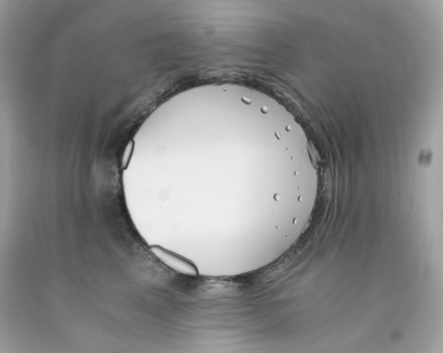 X0000091060617200709041200