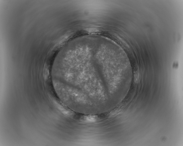 X0000091060618200709041200