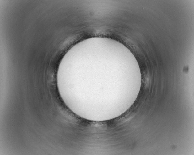 X0000091060619200709041200