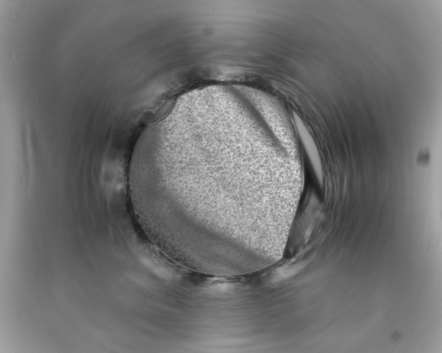 X0000091060620200709041200