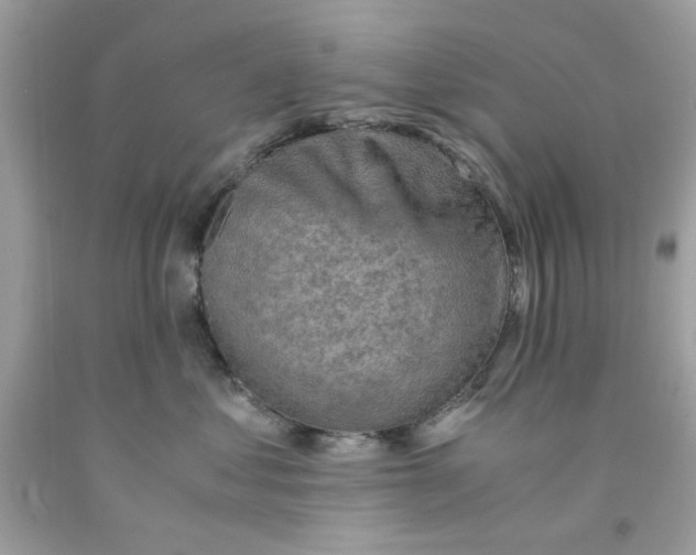 X0000091060621200709041200