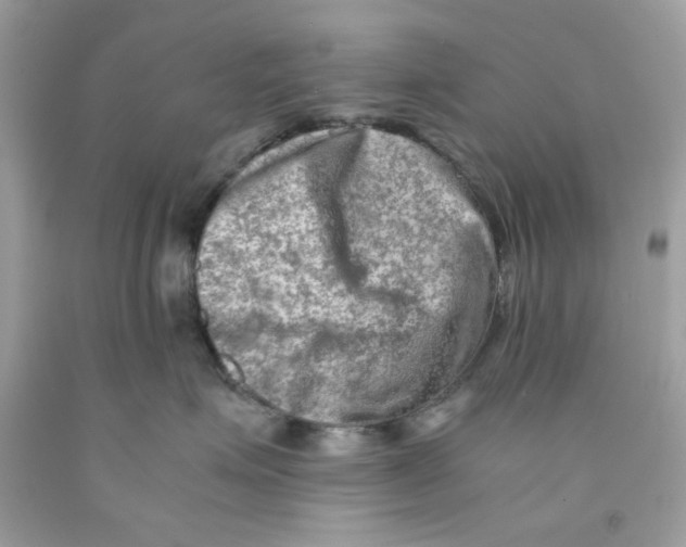 X0000091060623200709041200