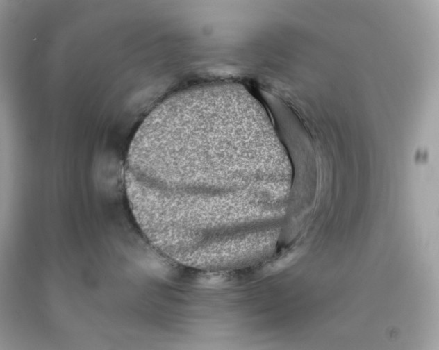 X0000091060624200709041200