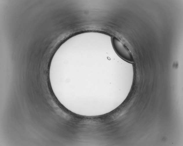 X0000091060625200709041159