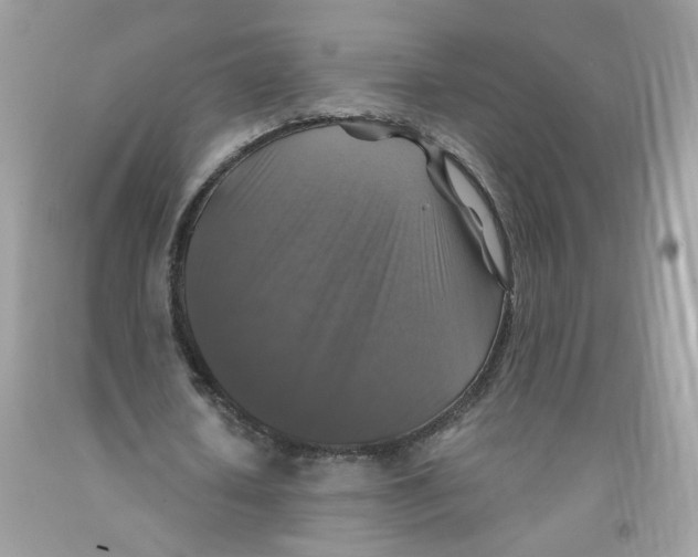 X0000091060626200709041159