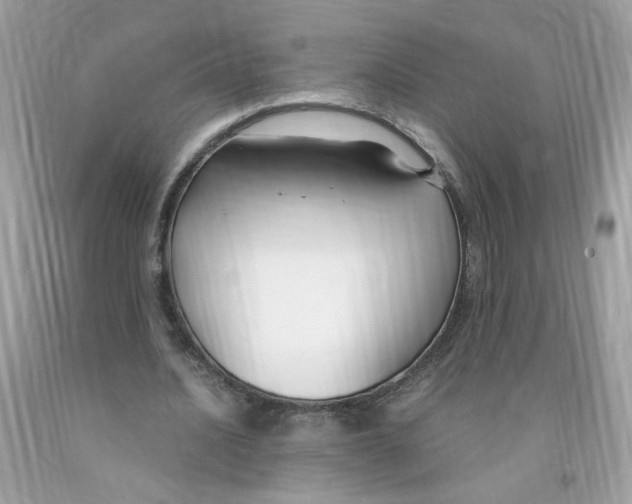 X0000091060628200709041159