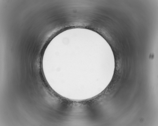 X0000091060632200709041159