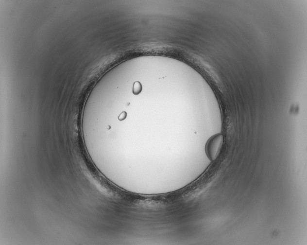 X0000091060633200709041159