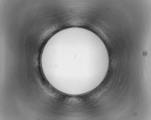 X0000091060635200709041159