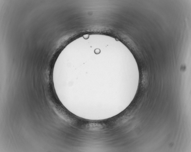 X0000091060636200709041159