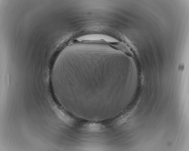 X0000091060637200709041200