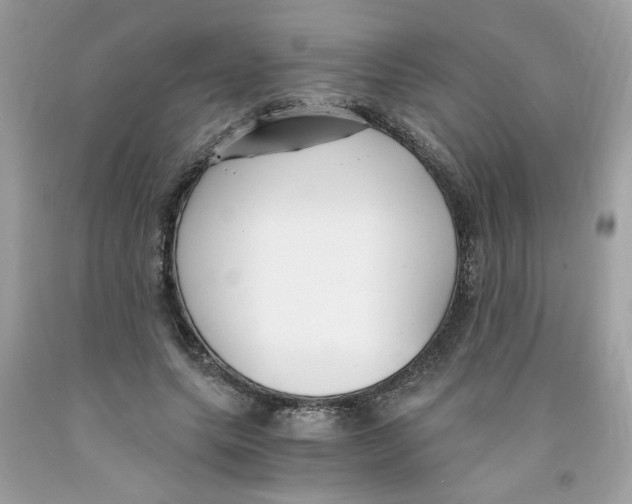 X0000091060639200709041200