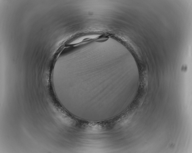 X0000091060640200709041200