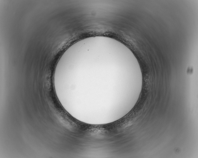 X0000091060642200709041200