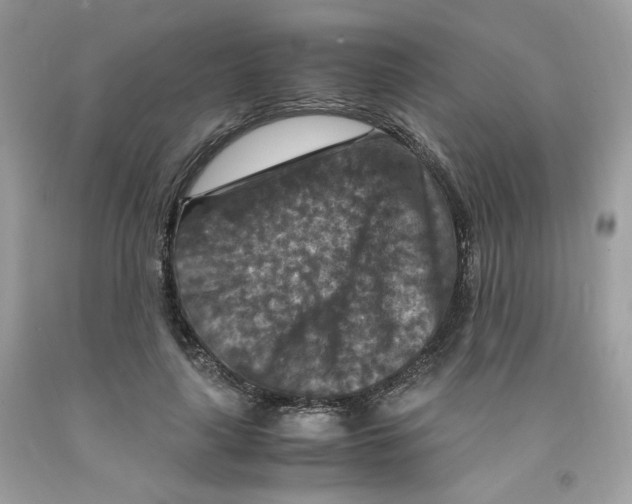 X0000091060643200709041200