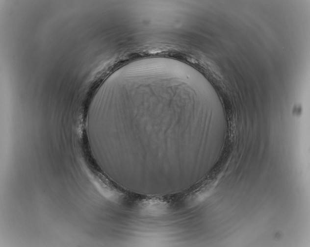 X0000091060644200709041200