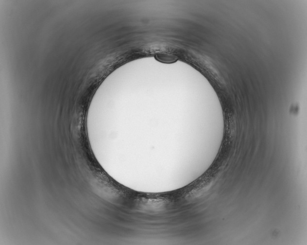 X0000091060645200709041200