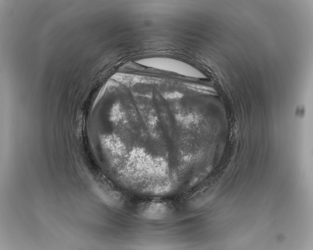 X0000091060647200709041200