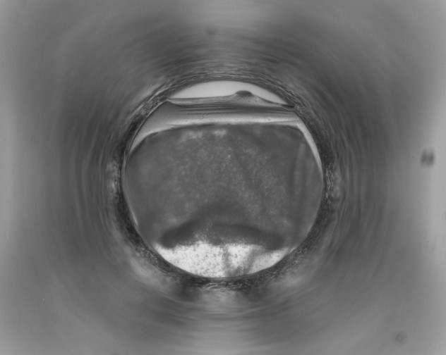 X0000091060648200709041200