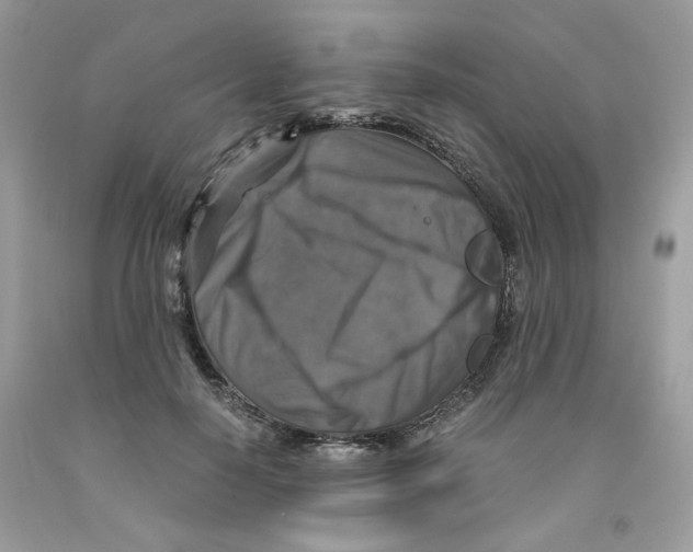 X0000091060650200709041200