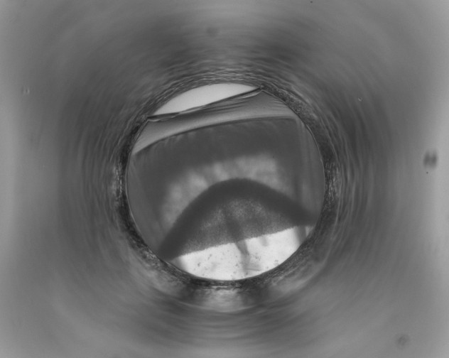 X0000091060651200709041200