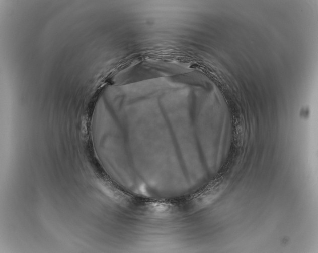 X0000091060654200709041200