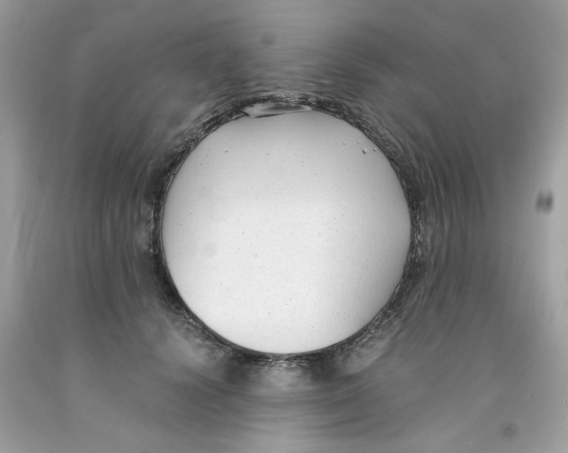 X0000091060656200709041200