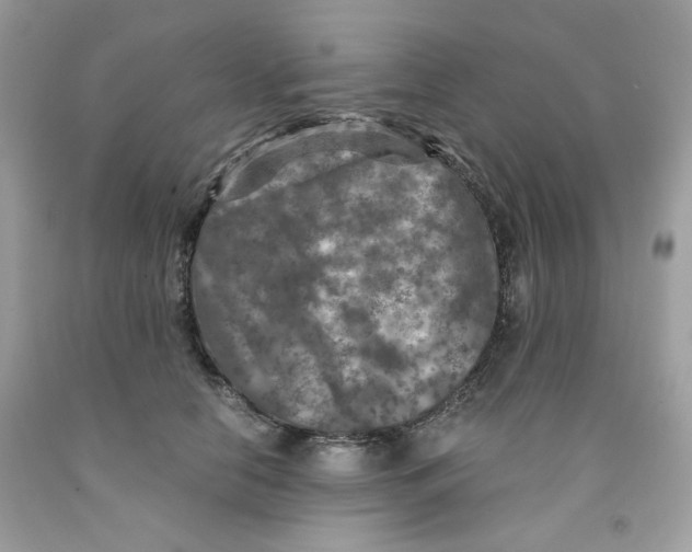 X0000091060658200709041200