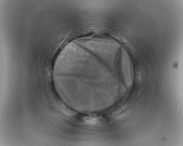 X0000091060661200709041200