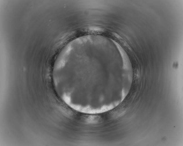 X0000091060663200709041200