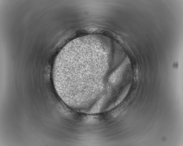 X0000091060664200709041200