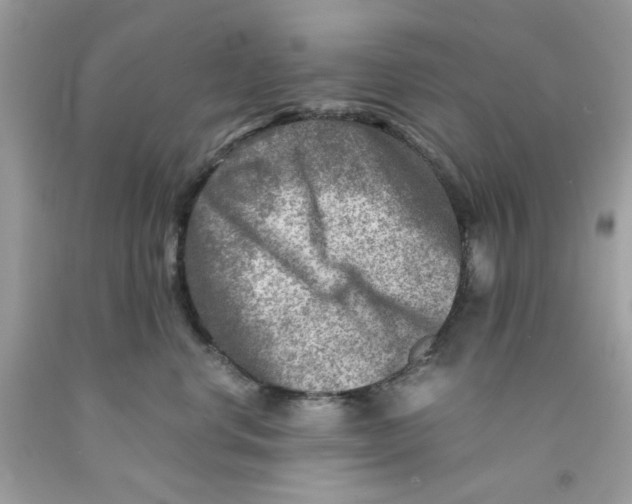 X0000091060668200709041200