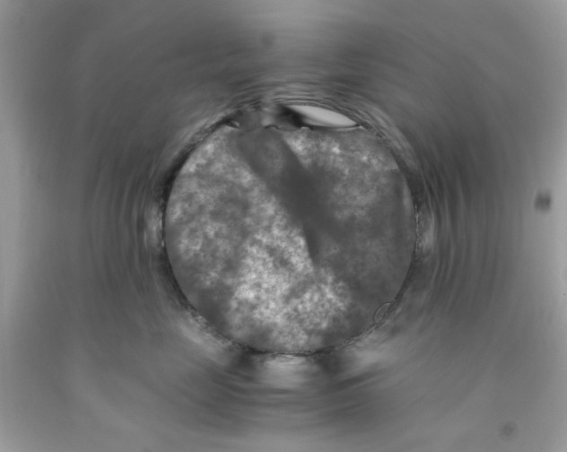 X0000091060669200709041200