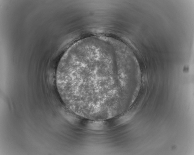 X0000091060671200709041200