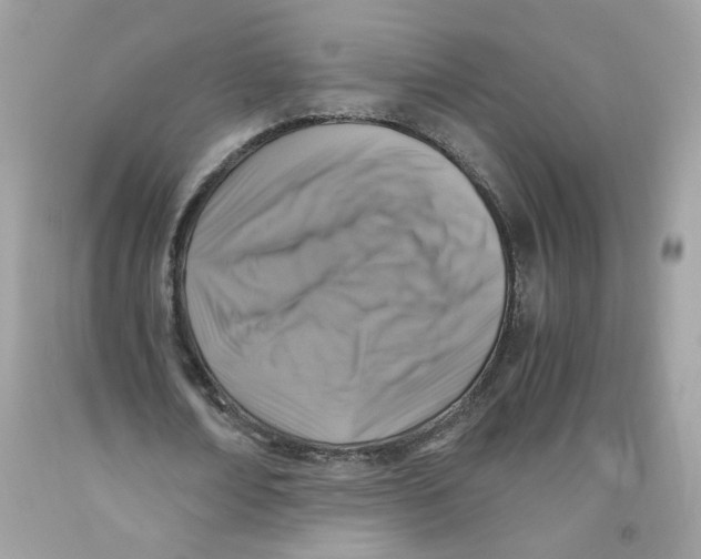 X0000091060674200709041159