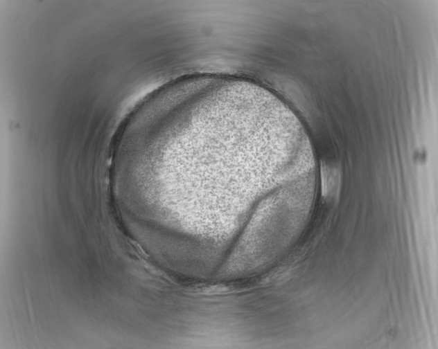 X0000091060675200709041159