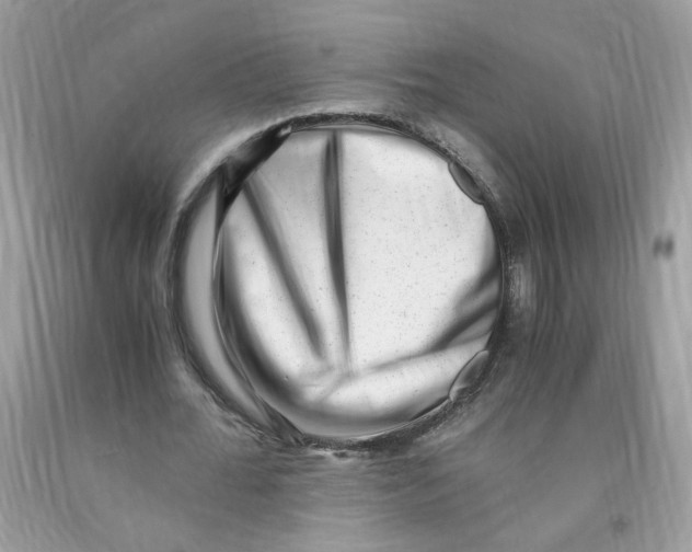 X0000091060676200709041159