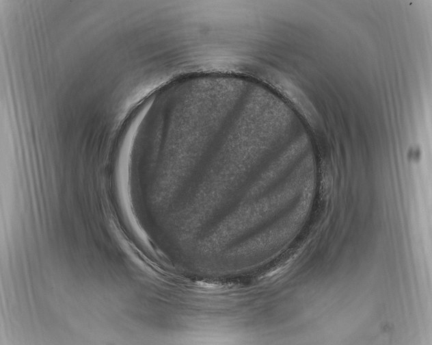 X0000091060677200709041159