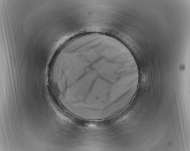 X0000091060678200709041159