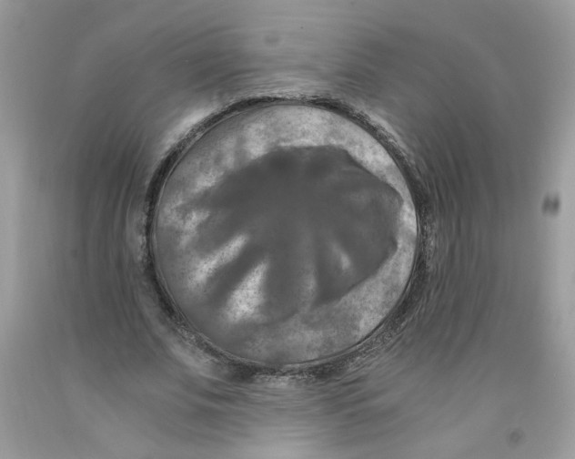 X0000091060679200709041159