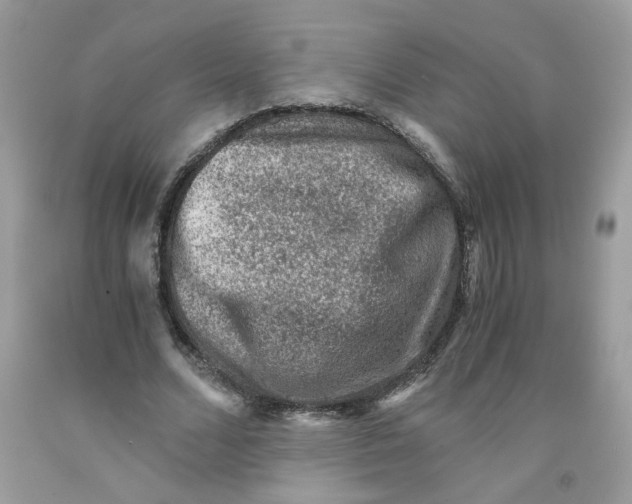 X0000091060680200709041159