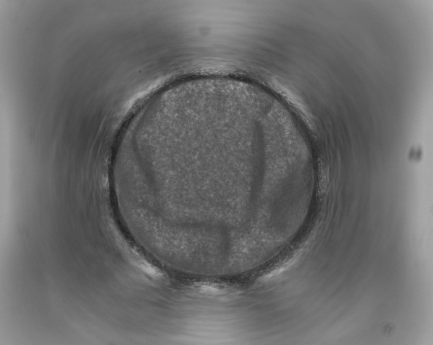 X0000091060681200709041159