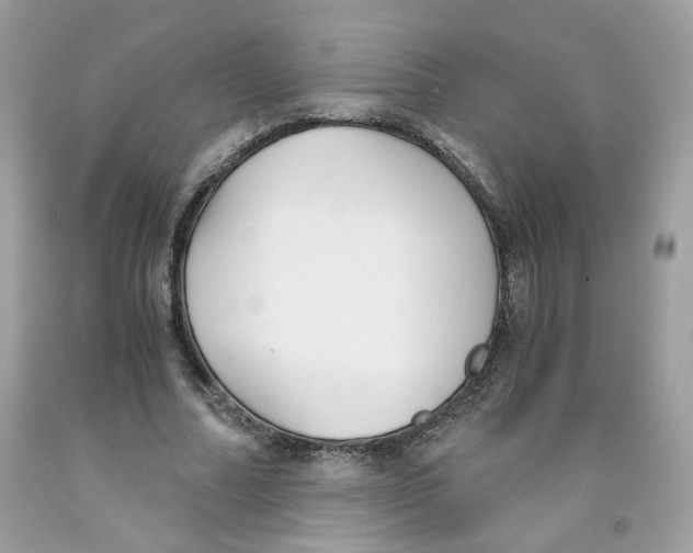 X0000091060682200709041159